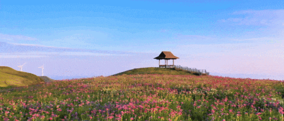3185eba7-b113-4864-805d-d14f704bb840.gif